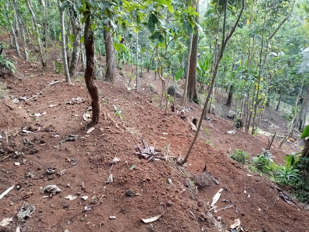 G:\VILLAGE REPORT PICTURES\UMSING BLOCK\Mawshang\WhatsApp Image 2023-02-09 at 11.39.19.jpeg